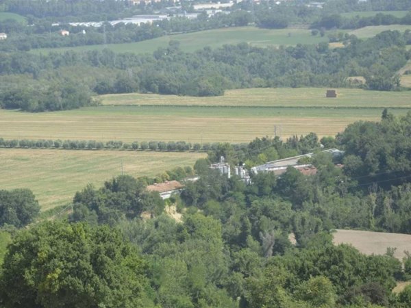 azienda agricola in vendita a Colli al Metauro in zona Montemaggiore al Metauro