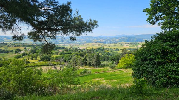 casa indipendente in vendita a Colli al Metauro in zona Serrungarina