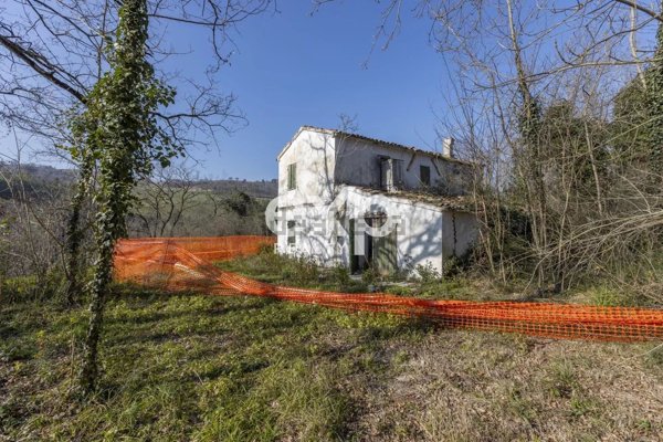 pentavano in vendita a Colli al Metauro in zona Bargni