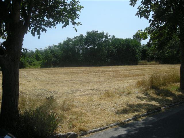 terreno edificabile in vendita a Colli al Metauro in zona Calcinelli