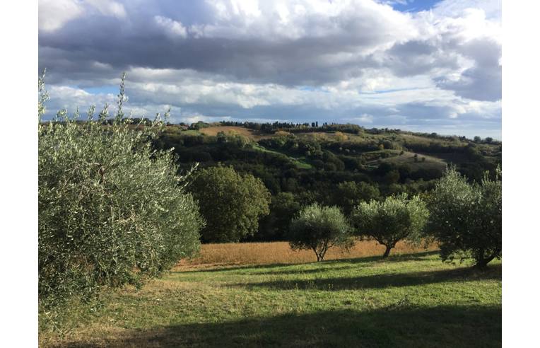 casa indipendente in vendita a Colli al Metauro in zona Serrungarina