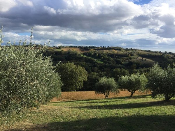 casa indipendente in vendita a Colli al Metauro in zona Serrungarina