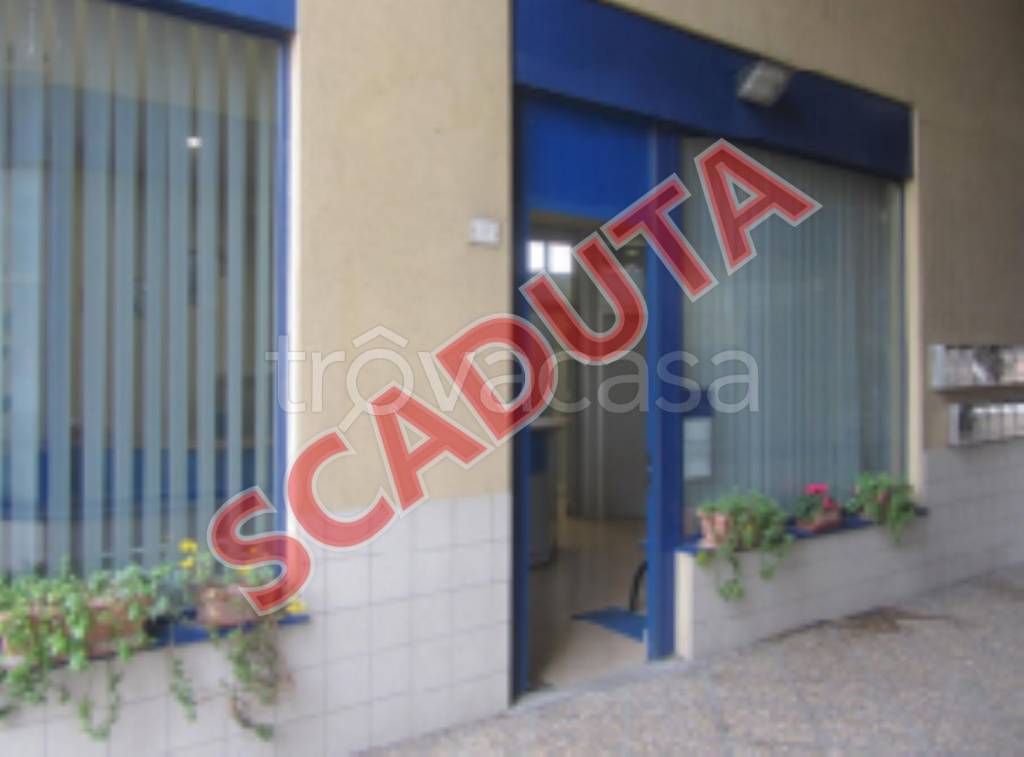 negozio in vendita a Colli al Metauro in zona Saltara