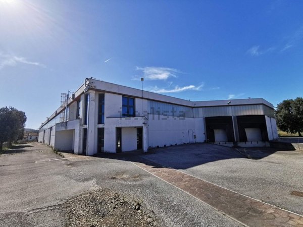 terreno agricolo in vendita a Colli al Metauro