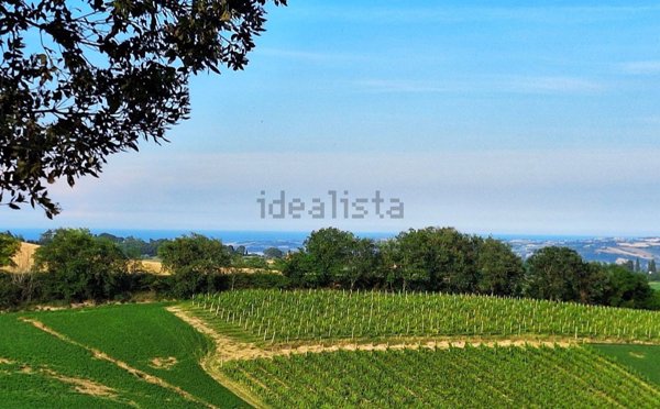 casa indipendente in vendita a Colli al Metauro