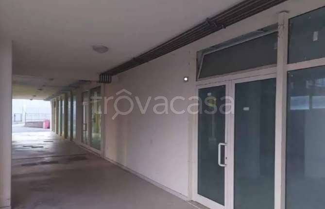 negozio in vendita a Colli al Metauro in zona Serrungarina