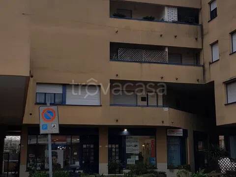 appartamento in vendita a Colli al Metauro