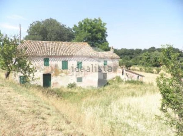 esavano in vendita a Colli al Metauro in zona Borgaccio