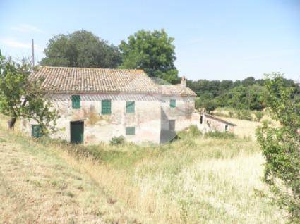 casa indipendente in vendita a Colli al Metauro in zona Borgaccio