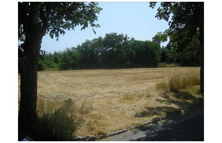terreno edificabile in vendita a Colli al Metauro in zona Calcinelli