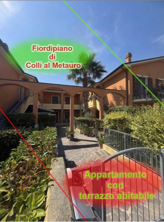 immagine annuncio 0 di 15