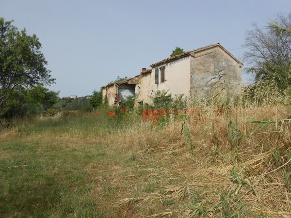 pentavano in vendita a Terre Roveresche in zona Orciano di Pesaro