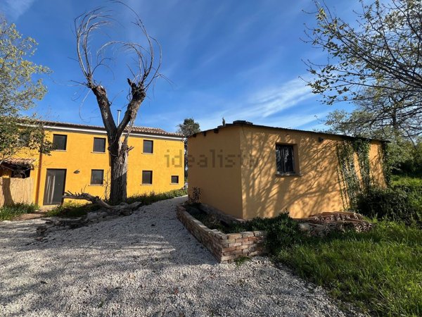 esavano in vendita a Terre Roveresche