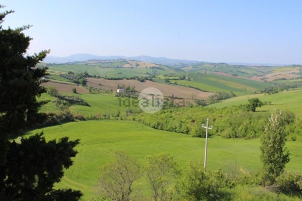 appartamento in vendita a Terre Roveresche