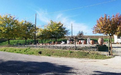 ufficio in vendita a Terre Roveresche