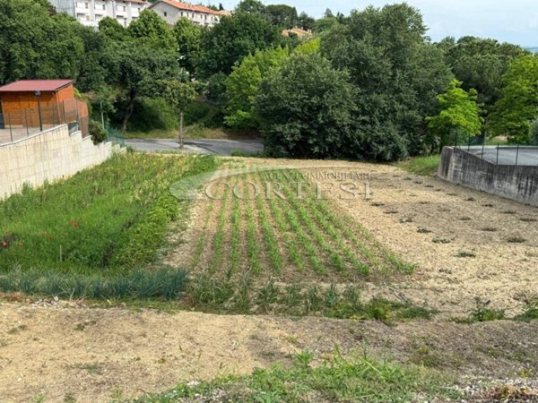 terreno agricolo in vendita a Terre Roveresche in zona Orciano di Pesaro