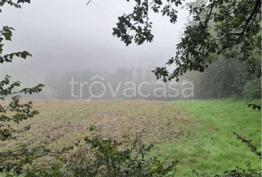 terreno agricolo in vendita a Terre Roveresche in zona Villa del Monte