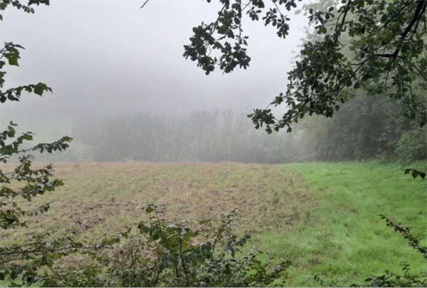 terreno agricolo in vendita a Terre Roveresche in zona Villa del Monte