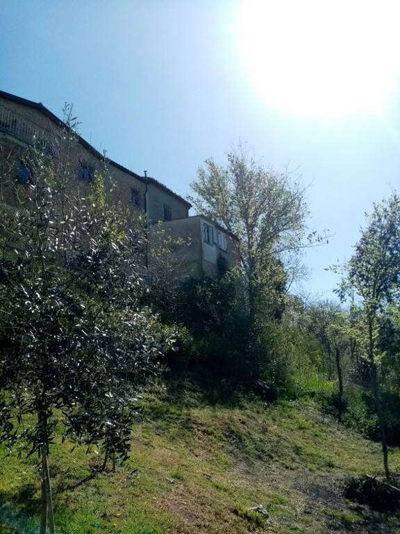 casa indipendente in vendita a Terre Roveresche