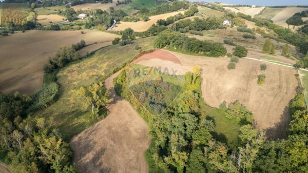 appartamento in vendita a Terre Roveresche