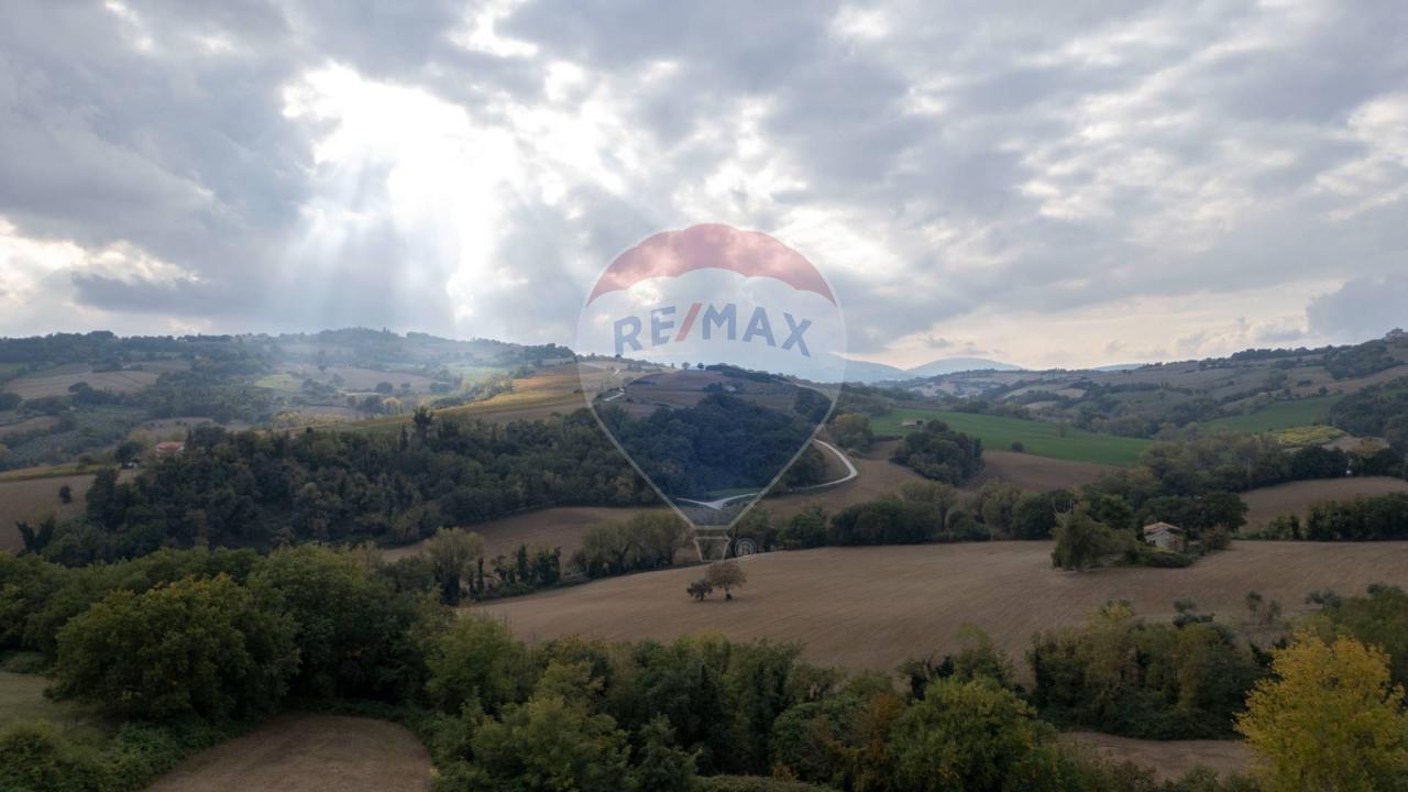 terreno agricolo in vendita a Terre Roveresche