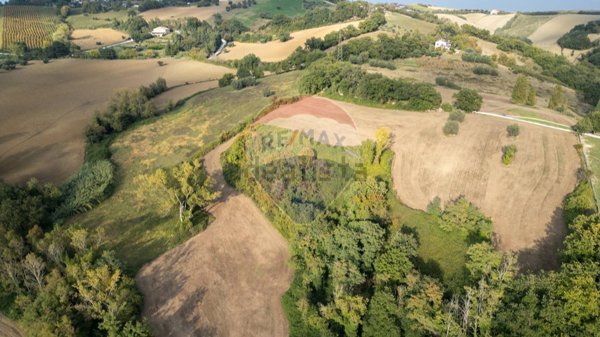 terreno agricolo in vendita a Terre Roveresche