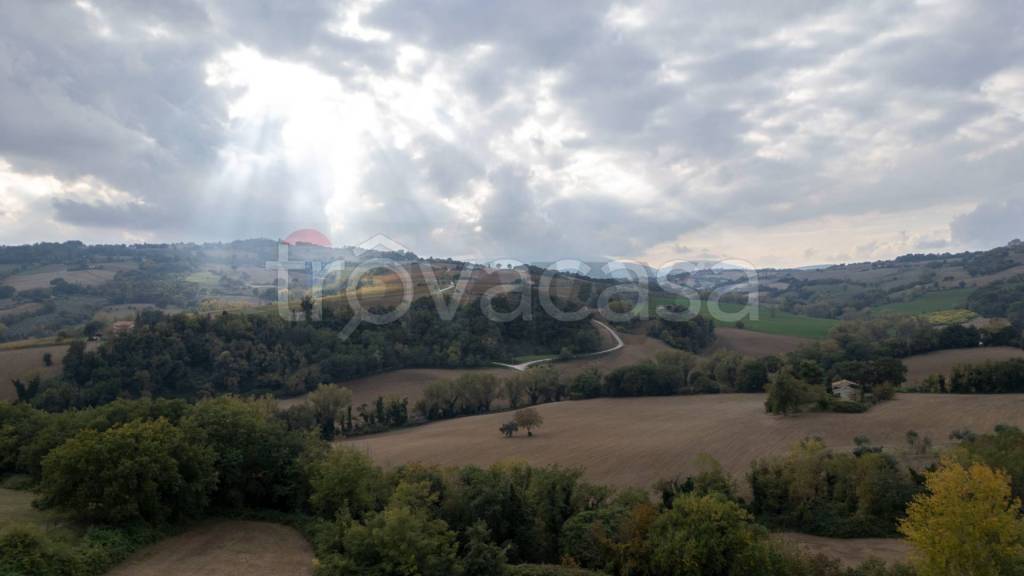 terreno agricolo in vendita a Terre Roveresche