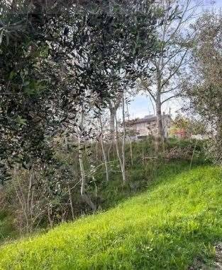 monolocale in vendita a Terre Roveresche