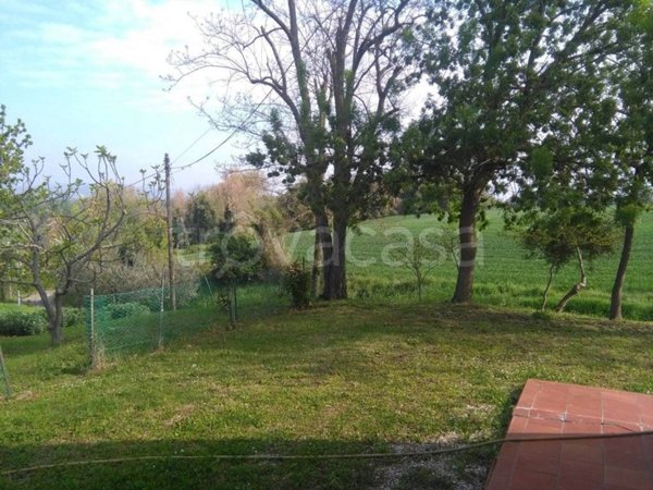 terreno agricolo in vendita a Terre Roveresche