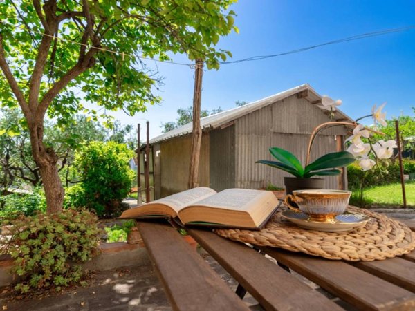 casa indipendente in vendita a Terre Roveresche in zona Orciano di Pesaro