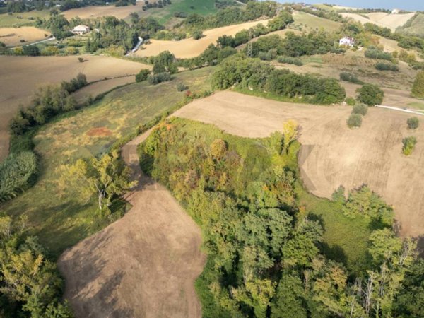 terreno agricolo in vendita a Terre Roveresche