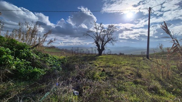 quadrivano in vendita a Terre Roveresche in zona San Giorgio di Pesaro