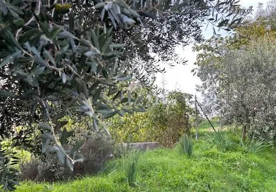 terreno edificabile in vendita a Terre Roveresche