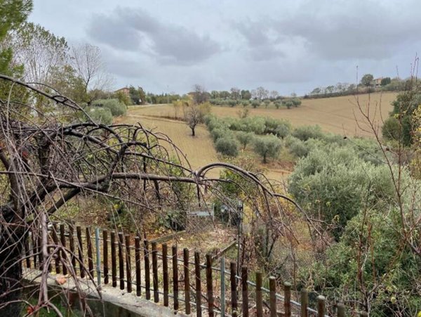 terreno agricolo in vendita a Terre Roveresche in zona Piagge