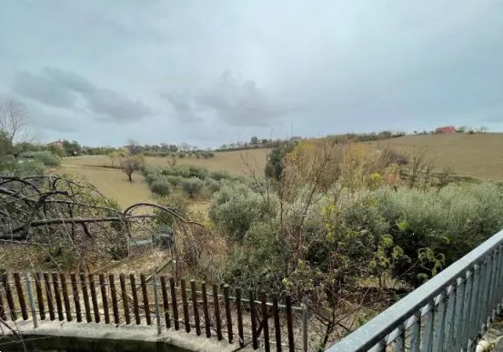 terreno agricolo in vendita a Terre Roveresche in zona Piagge