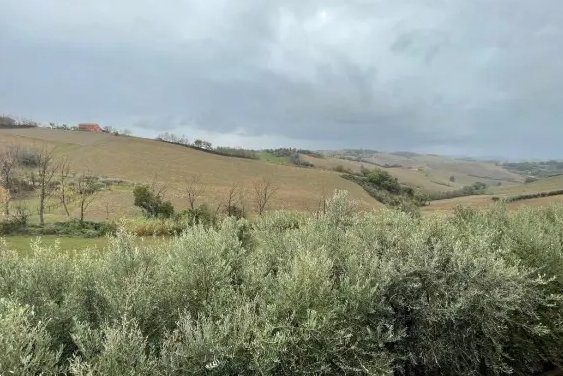 terreno agricolo in vendita a Terre Roveresche in zona Piagge