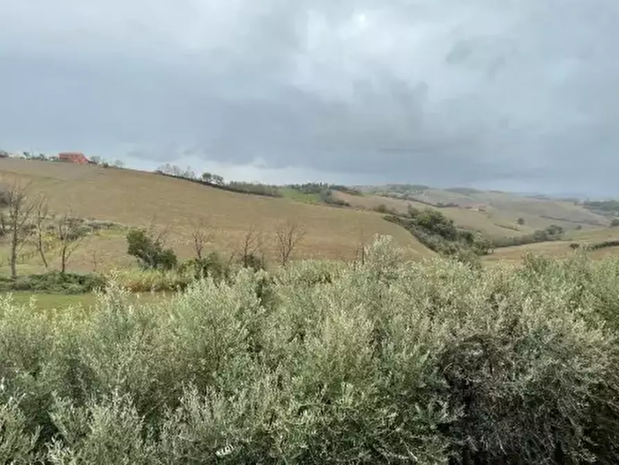 terreno agricolo in vendita a Terre Roveresche in zona Piagge