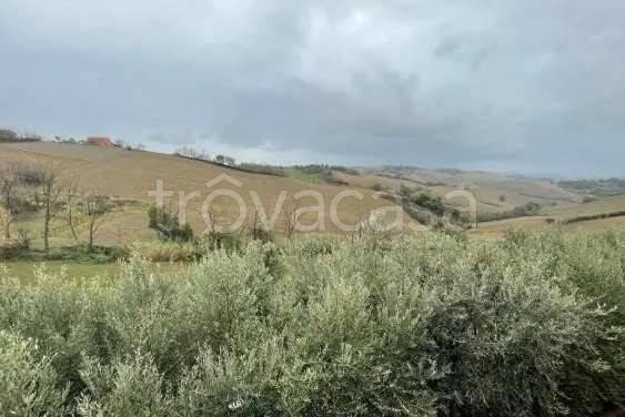 monolocale in vendita a Terre Roveresche in zona Piagge