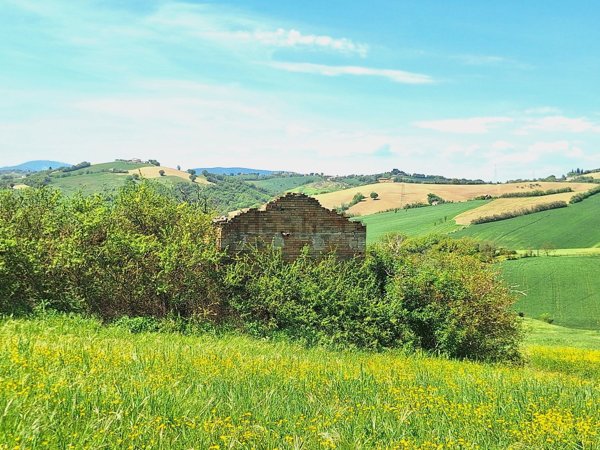 casa indipendente in vendita a Terre Roveresche in zona Orciano di Pesaro