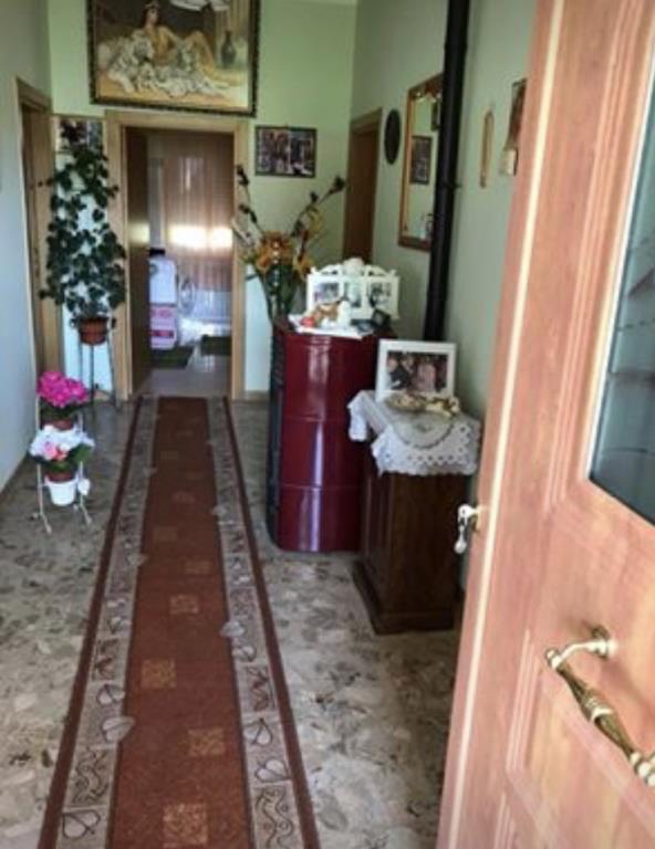 appartamento in vendita a Sassocorvaro Auditore in zona San Donato in Taviglione