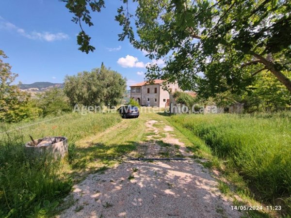 casa indipendente in vendita a Sassocorvaro Auditore in zona Auditore