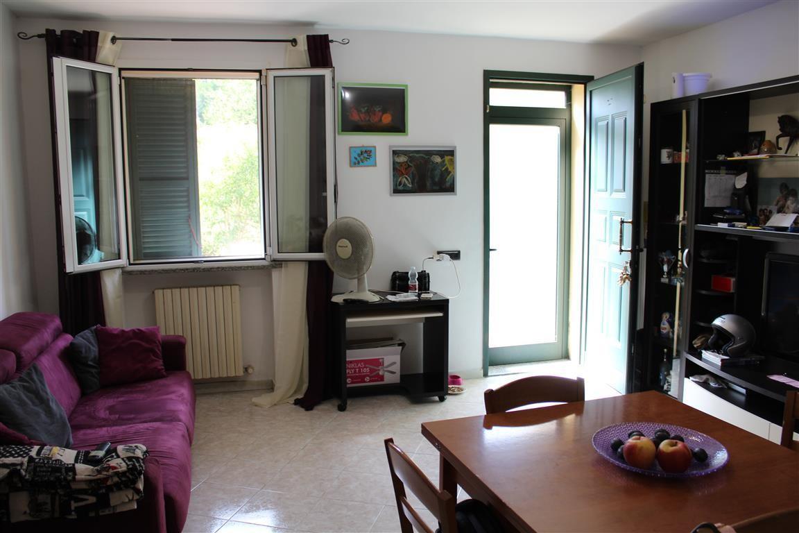 appartamento in vendita a Sassocorvaro Auditore in zona Auditore