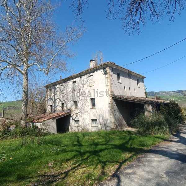 esavano in vendita a Sassocorvaro Auditore in zona Sassocorvaro