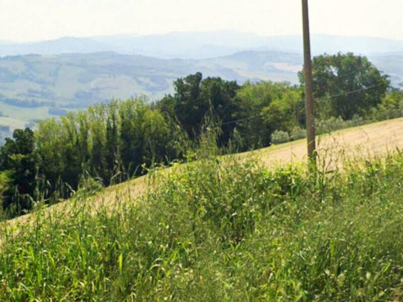 terreno agricolo in vendita a Sassocorvaro Auditore in zona Auditore