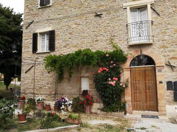casa indipendente in vendita a Sassocorvaro Auditore in zona Auditore