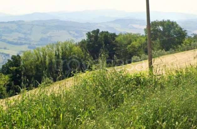 appartamento in vendita a Sassocorvaro Auditore