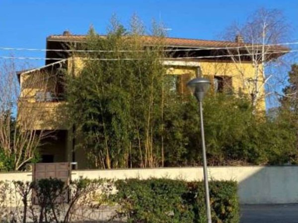 appartamento in vendita a Sassocorvaro Auditore in zona Casinina