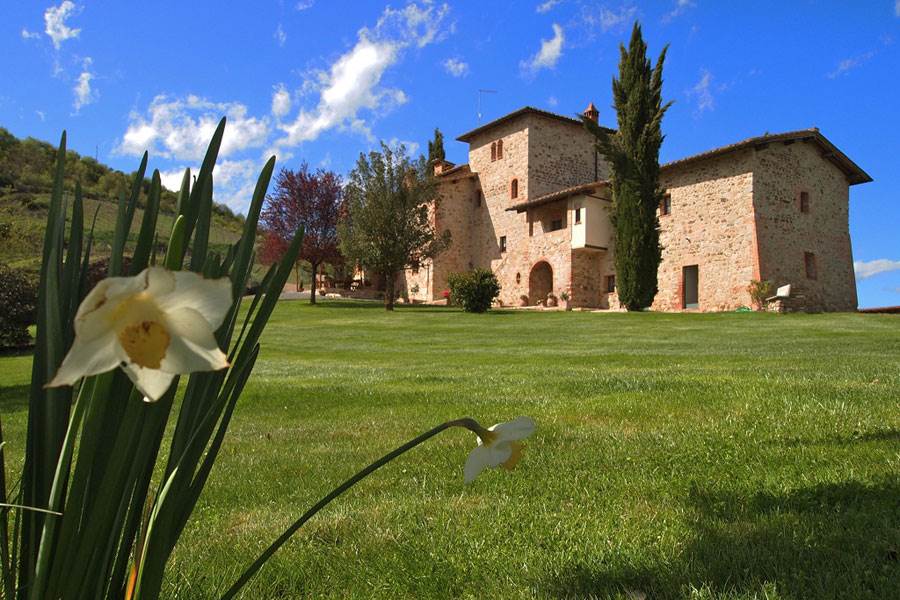 azienda agricola in vendita a Sassocorvaro Auditore