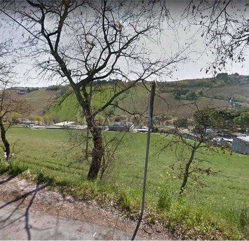 terreno agricolo in vendita ad Agugliano