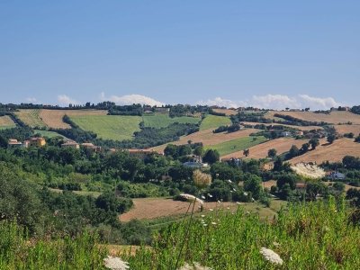 appartamento in vendita ad Agugliano